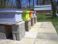 apiary1_thumb.jpg