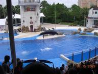 seaworld2_thumb.jpg