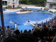 seaworld3_thumb.jpg
