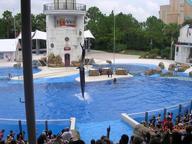 seaworld7_thumb.jpg