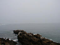 ram_island_fog_thumb.jpg