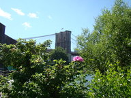 brooklynbridge1_thumb.jpg