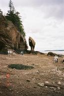 hopewell_rocks7_thumb.jpg